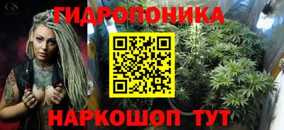 гидра Камень-на-Оби