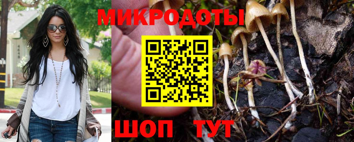 Галлюциногенные грибы MAGIC MUSHROOMS Дербент