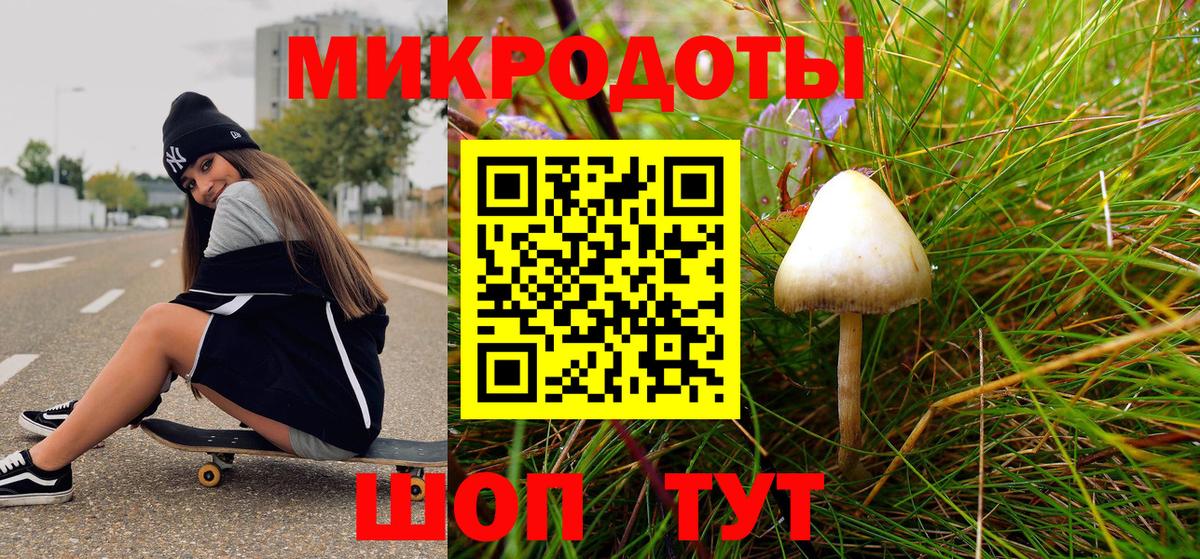 Дербент  Псилоцибиновые грибы Psilocybine cubensis  Псилоцибиновые грибы мицелий  сколько стоит  Вход с VPN 